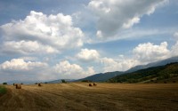 世界杯主题航班：航空公司推出特别涂装