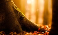 世界举重公开赛赛后反兴奋剂宣传片在校园巡映，世界举重强队